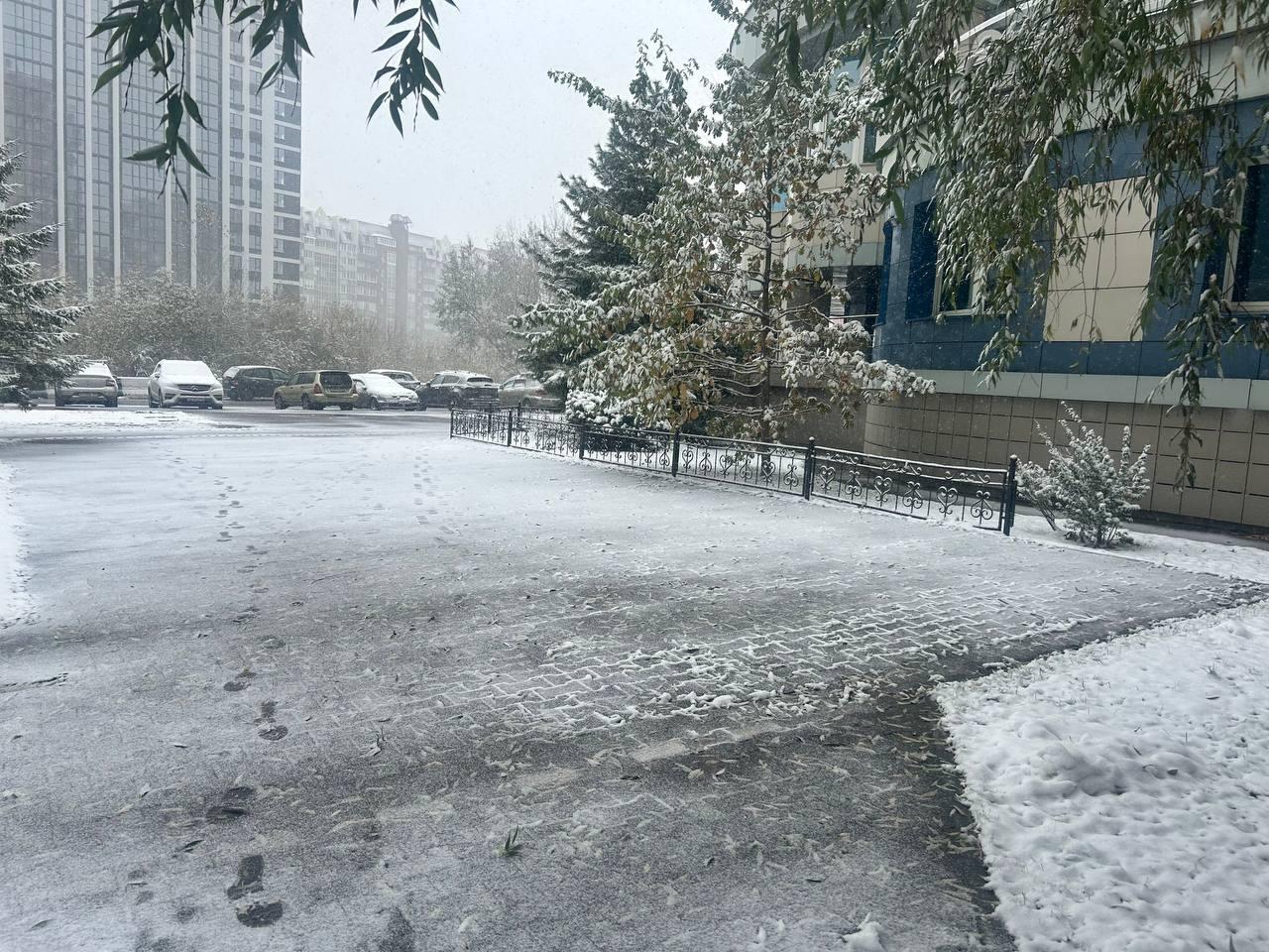 Фото На Новосибирск обрушилась метель 4